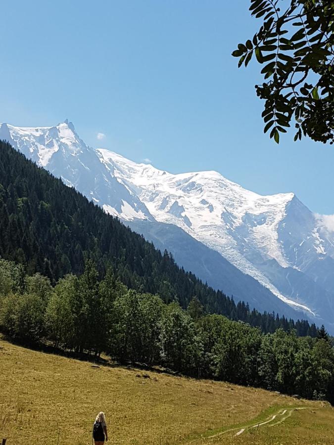 Appartement Typique,Chaleureux Et Pratique Chamonix Exterior foto